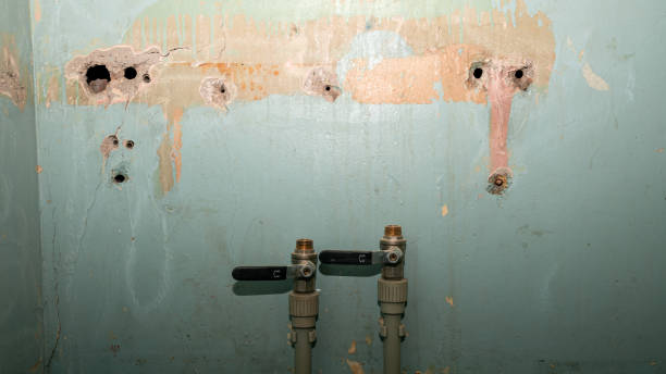 Best Flood restoration services  in Newton, KS