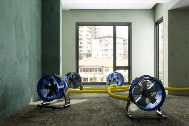 Best Basement water damage restoration  in Newton, KS