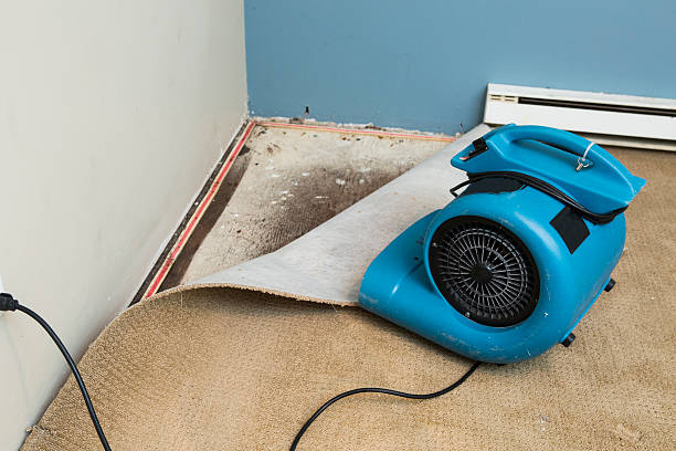 Best Emergency water damage restoration  in Newton, KS
